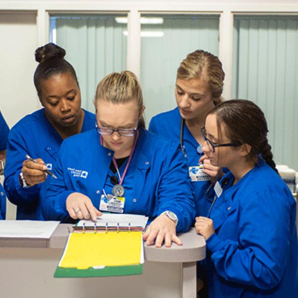 A group of six nursing students all look over a chart